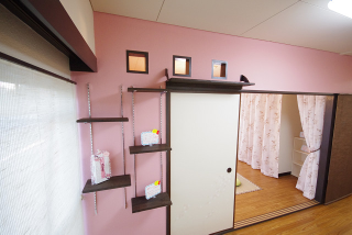 Illustration for article titled Japan's Cat Apartments Come with... Cats